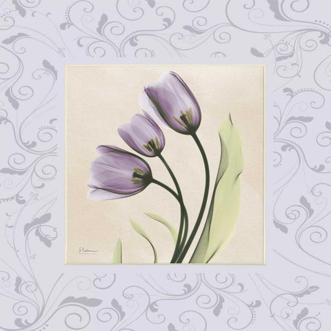 Purple Tulips on Purple Damask Black Modern Wood Framed Art Print with Double Matting by Koetsier, Albert