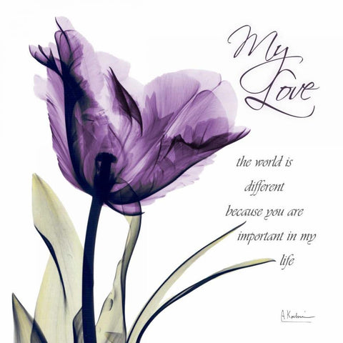 My Love - Purple Tulip White Modern Wood Framed Art Print with Double Matting by Koetsier, Albert