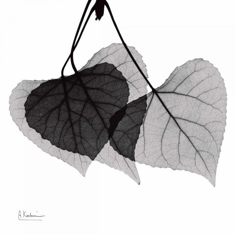 Three Leaves Three Black Ornate Wood Framed Art Print with Double Matting by Koetsier, Albert