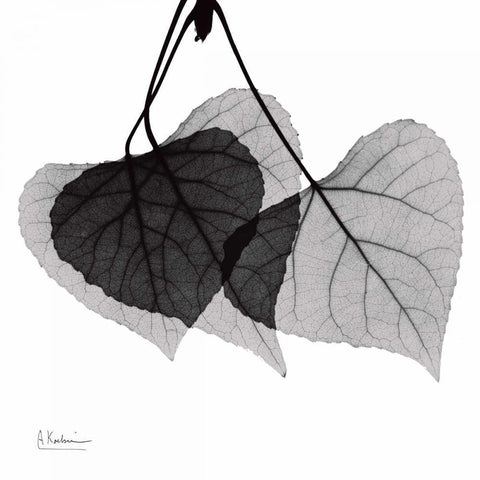 Three Leaves Three White Modern Wood Framed Art Print by Koetsier, Albert