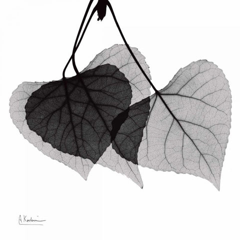 Three Leaves Three Black Modern Wood Framed Art Print with Double Matting by Koetsier, Albert