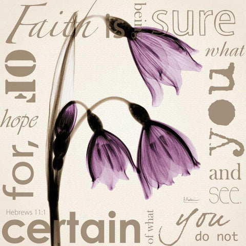 Faith - Violet Tulips White Modern Wood Framed Art Print by Koetsier, Albert