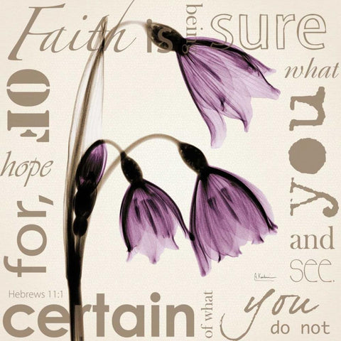 Faith - Violet Tulips White Modern Wood Framed Art Print with Double Matting by Koetsier, Albert