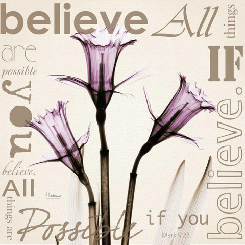 Believe - Violet Daffodils White Modern Wood Framed Art Print by Koetsier, Albert
