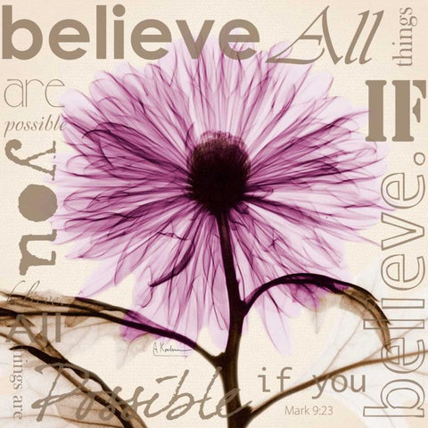 Chrysanthemum Believe Black Modern Wood Framed Art Print by Koetsier, Albert