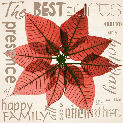 Poinsettia Black Ornate Wood Framed Art Print with Double Matting by Koetsier, Albert