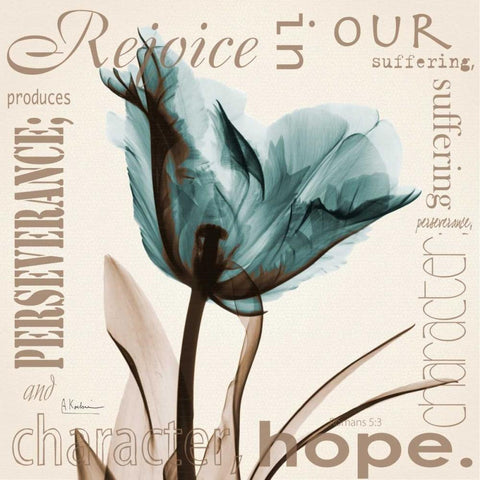 Rejoice - Blue Tulip Black Modern Wood Framed Art Print with Double Matting by Koetsier, Albert