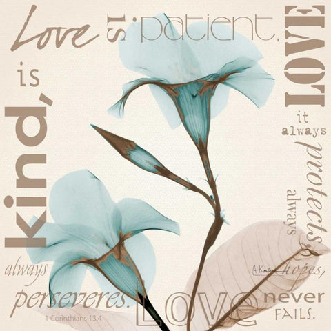 Love - Blue Beauties White Modern Wood Framed Art Print by Koetsier, Albert