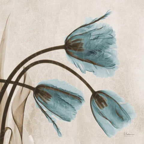 Tulips L83 Black Modern Wood Framed Art Print with Double Matting by Koetsier, Albert