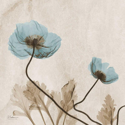 Poppies L167 White Modern Wood Framed Art Print by Koetsier, Albert