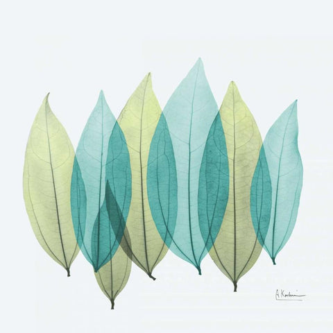 Coculus Leaf L348 White Modern Wood Framed Art Print with Double Matting by Koetsier, Albert