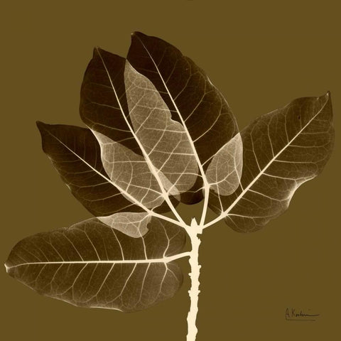 Harvest Leaves 1D Black Modern Wood Framed Art Print with Double Matting by Koetsier, Albert