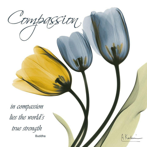 Tulips Compassion Black Modern Wood Framed Art Print with Double Matting by Koetsier, Albert