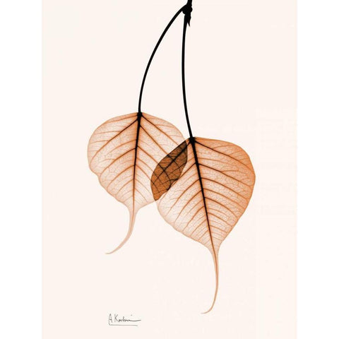 Bodhi Tree orange Black Modern Wood Framed Art Print with Double Matting by Koetsier, Albert