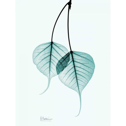 Bodhi Tree Teal White Modern Wood Framed Art Print by Koetsier, Albert