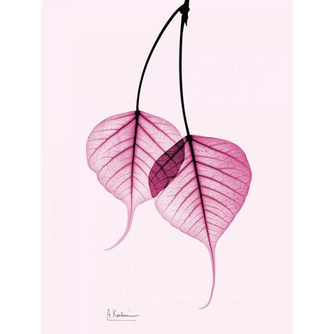 Bodhi Tree Pink White Modern Wood Framed Art Print by Koetsier, Albert