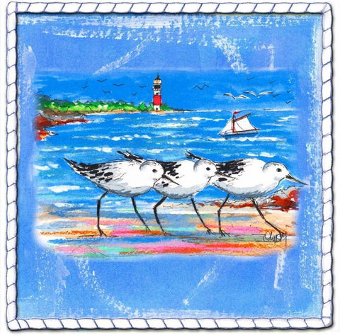 Beach-Front-Shore Birds Black Ornate Wood Framed Art Print with Double Matting by Ormsby, Anne
