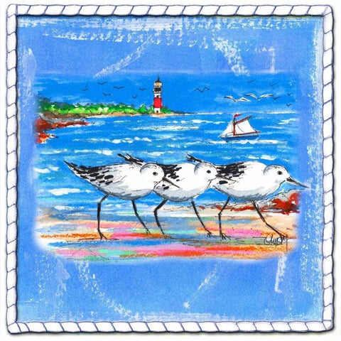 Beach-Front-Shore Birds White Modern Wood Framed Art Print by Ormsby, Anne