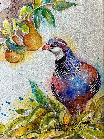 Partridge In Pear Tree White Modern Wood Framed Art Print with Double Matting by Rudraksi, Ashwini