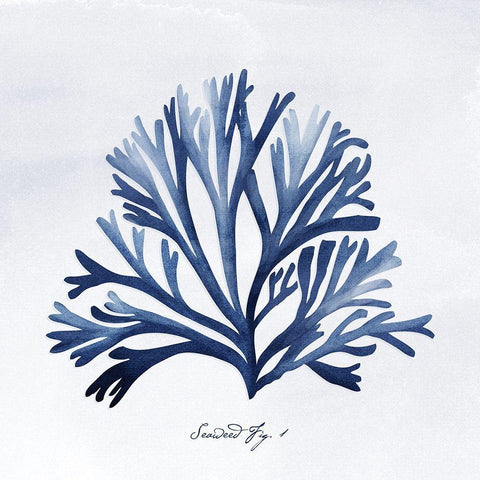 SeaweedFig1 White Modern Wood Framed Art Print with Double Matting by Vidal, Alicia