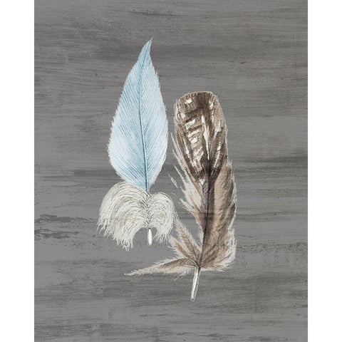 Feathers 1 Gold Ornate Wood Framed Art Print with Double Matting by Bailey, Ann