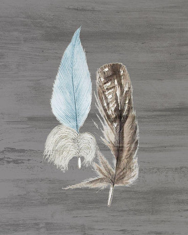 Feathers 1 Black Ornate Wood Framed Art Print with Double Matting by Bailey, Ann
