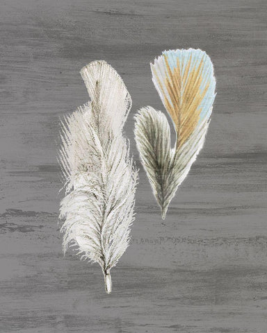 Feathers 2 White Modern Wood Framed Art Print with Double Matting by Bailey, Ann