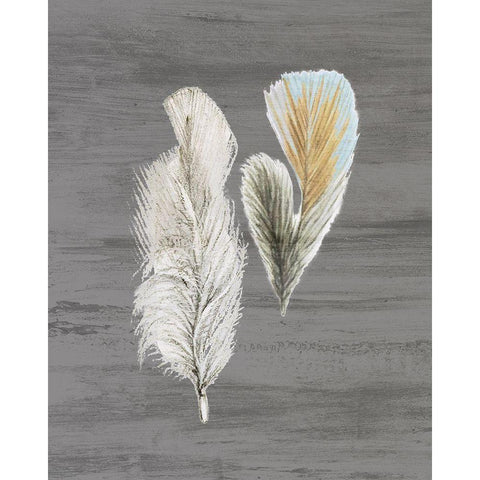 Feathers 2 Black Modern Wood Framed Art Print by Bailey, Ann