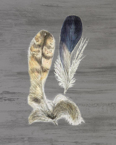 Feathers 3 White Modern Wood Framed Art Print with Double Matting by Bailey, Ann