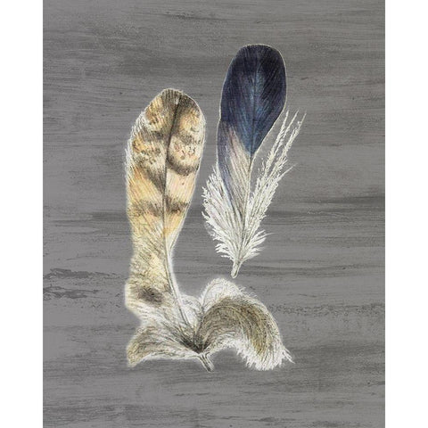 Feathers 3 Black Modern Wood Framed Art Print with Double Matting by Bailey, Ann