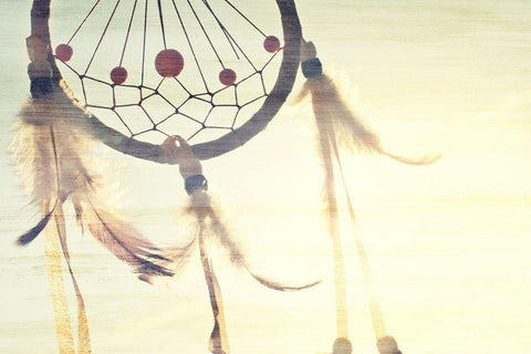 Follow Your Dreams Catcher Black Ornate Wood Framed Art Print with Double Matting by Bailey, Ann