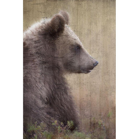 Contemplation White Modern Wood Framed Art Print by Bailey, Ann