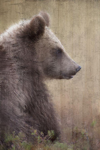 Contemplation White Modern Wood Framed Art Print with Double Matting by Bailey, Ann