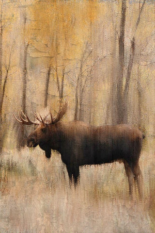 Golden Fall Black Ornate Wood Framed Art Print with Double Matting by Bailey, Ann