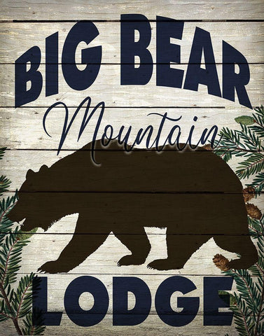 Big Bear Lodge White Modern Wood Framed Art Print with Double Matting by Bailey, Ann