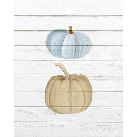 Pumpkins 2 Black Modern Wood Framed Art Print with Double Matting by Bailey, Ann