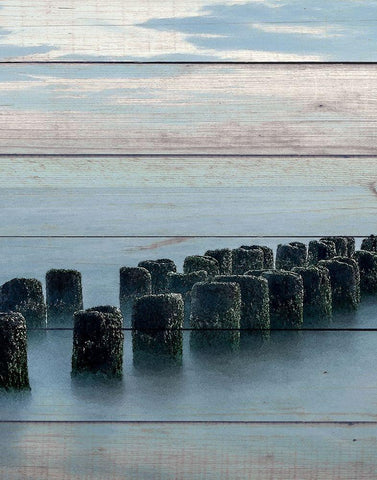 Endless Sea 2 Black Ornate Wood Framed Art Print with Double Matting by Bailey, Ann