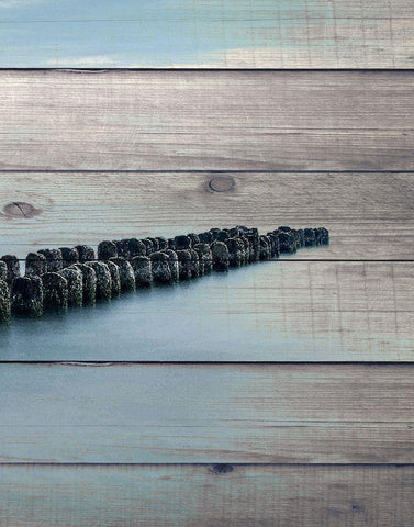 Endless Sea 3 Black Ornate Wood Framed Art Print with Double Matting by Bailey, Ann