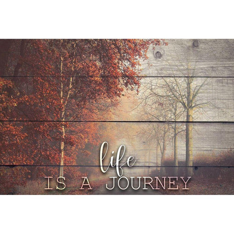 A Journey Black Modern Wood Framed Art Print with Double Matting by Bailey, Ann