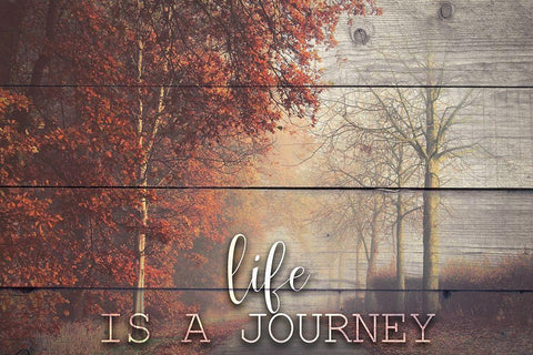 A Journey Black Ornate Wood Framed Art Print with Double Matting by Bailey, Ann