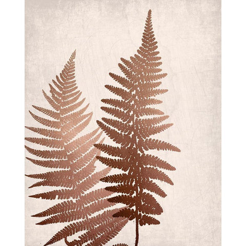 Copper Pink Ferns 1 White Modern Wood Framed Art Print by Bailey, Ann