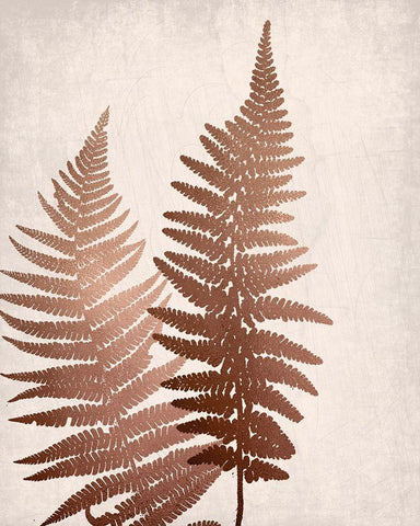 Copper Pink Ferns 1 White Modern Wood Framed Art Print with Double Matting by Bailey, Ann