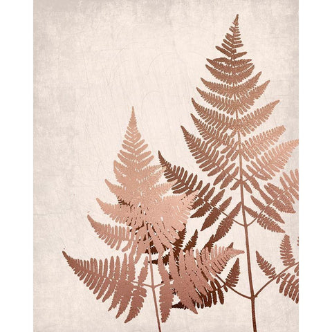 Copper Pink Ferns 2 White Modern Wood Framed Art Print by Bailey, Ann