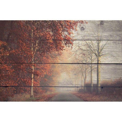 A Journey Gold Ornate Wood Framed Art Print with Double Matting by Bailey, Ann