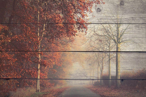 A Journey White Modern Wood Framed Art Print with Double Matting by Bailey, Ann