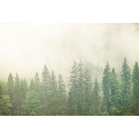 Adventure is Worthwhile White Modern Wood Framed Art Print by Bailey, Ann