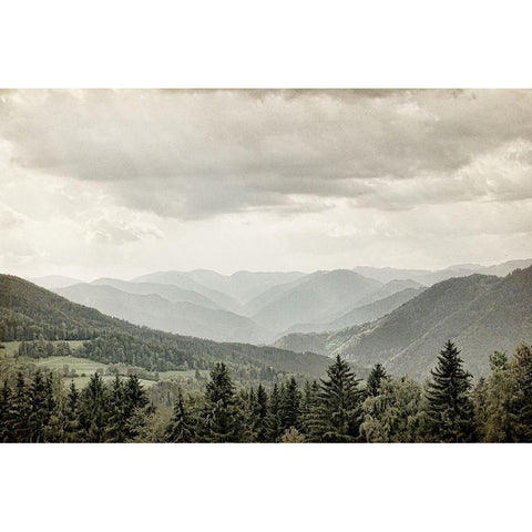 I Want to See Black Modern Wood Framed Art Print by Bailey, Ann