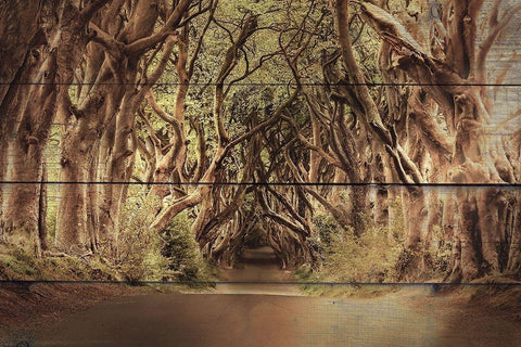 It Feels Good White Modern Wood Framed Art Print with Double Matting by Bailey, Ann