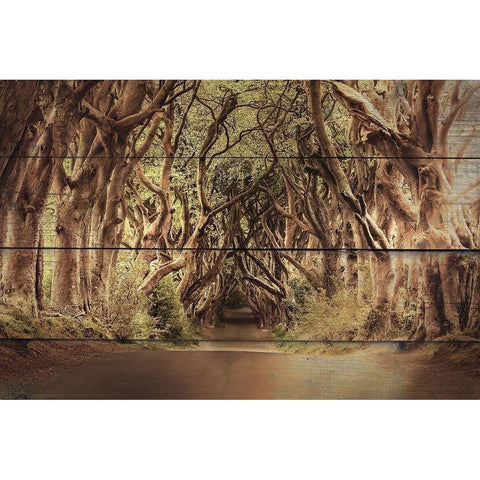 It Feels Good Gold Ornate Wood Framed Art Print with Double Matting by Bailey, Ann