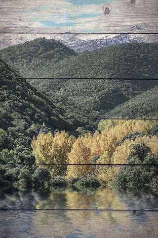 Let The Adventure White Modern Wood Framed Art Print with Double Matting by Bailey, Ann